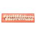 BUNRUN 28 PCS False Teeth Temporary Dental Resin Teeth Model Durable Dentures Universal Resi False Teeth