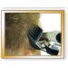 Choice Home Pro Deluxe Combo Hair Cutter for Men - Self-Sharpening Blade Adjustable Lever 8 Accessories Included - Buy Online on GoSupps.com