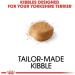Royal Canin Yorkshire Terrier Adult | Pack of 3 | 3 x 500 g | Dry food for Yorkshire Terrier Adult | From 10 Months | to Help Age Healthy - Buy Online on GoSupps.com