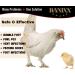 Banixx for Chixx 2oz: Safe, Sting-Free Solution for Chicken Sores, Bumble Foot, Fowl Pox, and More - Buy Online on GoSupps.com