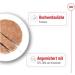 Royal Canin Maxi Ageing | 12 x 410 g | Complete Food for Large Older and Senior Dogs (26 to 44 kg) | Nutrient-Rich and Balanced Wet Food from Five Years Old - Buy Online on GoSupps.com