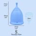 SHORDY Menstrual Cup (Small) - Eco-Friendly Soft & Flexible Up to 12 Hours of Comfort | Copa Menstrual Kit for Women - Buy Online Internationally - Buy Online on GoSupps.com