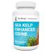Dr. Berg's Sea Kelp Enhanced - Pure Healthy Thyroid Support Natural Antioxidants & Iodine Supplement w/ Organic Sea Kelp, Blue-Green Algae & Red Algae - Immune System & Metabolism Support 90 Capsules
