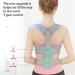 Shoulder Clavicle Chest Back Brace - Posture Corrector for Scoliosis Support & Lumbar Support - Large Size Easy to Wear - Buy Online on GoSupps.com