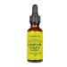 Eclectic Herb - Lomatium Isolate Glycerite | Natural Herbal Supplement | Immune & Lung Support | Highly Concentrated Alcohol-Free Organic Vegan Non-GMO Gluten Free (0.27 fl oz | 8 ml)