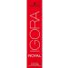 Schwarzkopf IGORA Royal 7-55 Medium Blonde Gold Extra Hair Color | 60ml | Premium Quality | International Shipping - Buy Online on GoSupps.com