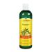 Organix South TheraNeem Naturals Scalp Therapé Shampoo 12 fl oz (360 ml)