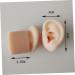 Silicone Ear Picking Tunnels - 1 Pair | Ear Cleaning Practice Tools and Simulation Model - Buy Online on GoSupps.com