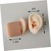 Hemoton Silicone Ear Model Set for Practice and Display | Ear Picking & Simulation Props - Buy Online on GoSupps.com