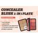  PCC PTYXIS Carmine Contour Color Palette 12 Colors Professional Color Concealer Cream Waterproof Color Palette Suitable for Oily Dry or Sensitive Skin (#12-B 12 Colors) - Buy Online on GoSupps.com