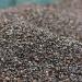 Waterglider International USA Grown Buckwheat Hulls 2.5 lbs - Refill for Pillows and Cushions - Buy Online on GoSupps.com