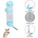 WishLotus Hamster Dispenser Bottle No Drip Plastic Hanging Water Bottle Automatic Water Bottle Dispenser Cage Bowl with 2 Rolling Balls for Rabbit Guinea Pig Rat Gerbil Chinchilla (125ml Blue) 125ml Blue - Buy Online on GoSupps.com