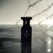 Dark Oud Eau de Parfum Spray 50 ML | Luxury Brand for Men - Buy Online on GoSupps.com
