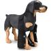Dog Knee Brace Adjustable Dog Front Leg Brace with Metal Spring Support and Reflective Strap Dog Leg Support for Surgery Recovery Front Leg Injury|Black (M) - Buy Online on GoSupps.com
