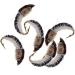 Qievcrme Fly Fishing Flies Kit 40/137pcs for Trout Bass Steelhead - Dry/Wet Flies Assortment in Fly Box - 6 Mixed Styles - Buy Online on GoSupps.com