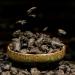 Th Pu'er Cuit Chinois Riz Gluant Parfum Th Noir Pu-Erh 250g - Buy Online on GoSupps.com