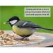 Squirrel Mixture 200g Premium Wild Life Food Garden Seed Feed - SLW - Buy Online on GoSupps.com
