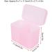 zottel Nail Art Storage Box Empty Nail Art Storage Box Transparent Lid Design for Household Nail Salon Beauty Salon(Pink) - Buy Online on GoSupps.com