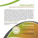 NuPrevento Dr.Coy Substitute Flour Mix - gluten-free Size: 650g - Buy Online on GoSupps.com