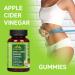 CLEEFLEN Apple Cider Vinegar Gummies with Vitamin B12 and Probiotics Supports Digestive Health Detox Cleanse Immune Boost Gluten-Free Suitable for Vegetarians 60 Gummies  - Buy Online on GoSupps.com