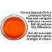 1 Litre Pure Salmon Oil for Dogs - Natural Fish Oil Supplement - Buy Online on GoSupps.com