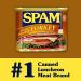 SPAM Oven Roasted Turkey 12oz (Pack of 12) - Delicious Canned Meat for Easy Meals - Buy Online on GoSupps.com