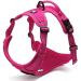 Winhyepet TrueLove No-Pull Dog Harness - Adjustable Reflective Pet Harness for Small Medium & Large Dogs - TLH5651 L Pink with 2 Linen Clips & Control Handle - Buy Online on GoSupps.com