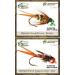 Guide's TOP Assortment - Nymphs (31 Flies) | Best Selling Flies for Fishing - Buy Online on GoSupps.com