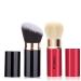 Canzoon Retractable Powder Brush Set - 2PC Blush & Foundation Brushes for Travel - Soft Versatile Black & Red Gold - Buy Online on GoSupps.com