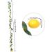 Ciieeo Wedding Garland 2 Pcs Simulation Lemon Rattan Plastic Fake Lemon Wall Decoration Spring Greenery Garland Yellowx2pcs 195x10cmx2pcs - Buy Online on GoSupps.com