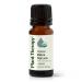 Plant Therapy Organic Black Spruce 10 mL (1/3 oz) Essential Oil 100% Pure Undiluted USDA Certified Organic Aromatherapy Fresh Scent Respiratory Support
