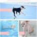 Petsmiler Dog Bathrobe - Absorbent Velcro Bathing Robe for Small Dogs - Quick Drying after Swimming & Rain (Pink XS) - Buy Online on GoSupps.com