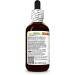 Aloe Vera (Aloe Vera) Dry Leaf Glycerite Made in Hawaii Organic Raw Materials All Natural Vegan Lab Tested Alcohol-Free Liquid Extract - 2 fl.oz 2 Fl Oz (Pack of 1) - Buy Online on GoSupps.com
