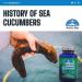 Arctic Star - Sea Cucumber Capsules - Natural Pure Iceland Atlantic Wild Caught Sea Cucumber Extract Supplement Pills - Joint Health t & Immune Health 400mg 80 Capsules/Bottle  - Buy Online on GoSupps.com