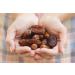 Datehini Organic Tahini and Medjool Date Spread - 8 Oz Jar (Pack of 1) - Buy Online on GoSupps.com