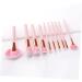 Ipetboom 2pcs Makeup Pink Eye Shadow Brush Major Miss Suite - Buy Online on GoSupps.com