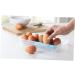GLEAVI 2pcs 10 Eggs Egg Storage Egg Tray Portable Egg Holder Container Multifunction Mustard re-usable Green 24.5*10.5*7cm - Buy Online on GoSupps.com