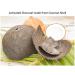 Nature's Beauty Activated Charcoal Facial Scrub - Made in USA - Detoxifying Exfoliator with Citrus Scent - 6 fl oz - Buy Online on GoSupps.com