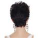 Buy European & American Fashion Ladies Short Curly Brown Micro Roll Full Wig - Natural Dark Brown Hair - Buy Online on GoSupps.com