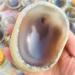 Natural Crystal Rough Natural Crystals and Stones 7-8cm Natural Rough Agate Stone Raw Crystal agate1pc for Decoration - Buy Online on GoSupps.com