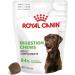 ROYAL CANIN Digestion Chews Adult Supplements Double Pack 2 x 160 g Supplementary Feed for Adult Dogs to Support Normal Digestion and Intestinal Flora - Buy Online on GoSupps.com