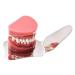 Buy Autoclavable Dental Photography Mirrors - Stainless Steel Intra-Oral Orthodontic Reflectors for International Shipping - Buy Online on GoSupps.com