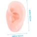 10 Pairs Artificial Silicone Ear Models for Piercing Practice - Realistic Fake Ears for Body Art & Training - Buy Online on GoSupps.com