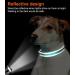 Joytale Reflective Dog Collar for Large & XL Dogs - Turquoise - Pack of 1 - International Shipping - Buy Online on GoSupps.com