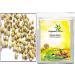 Green Velly Indian Organic Herbs Ayurveda Paneer Phool | Paneer Doda/DODI | Withania Coagulans Good for Health (1Kg)