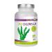 Vita2You Organic Chlorella Tablets 500mg per tablet | 500 tablets | Organically grown | Raw food | No additives