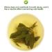 PlantGift Stevia Leaf 20G/0.7oz Herbal Tea Loose Leaf Sweet leaf Stevia - Buy Online on GoSupps.com