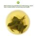 Organic Stevia Leaf Sweet Tea | Herbal Tea | 20g Plant Gift for Health - Buy Online on GoSupps.com