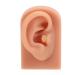 Flexible 3D Silicone Ear Model for Acupuncture Training | Reusable Soft Elastic Ear Piercing Model - International Shipping Available - Buy Online on GoSupps.com