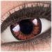 Meralens Brown Circle Lenses Pretty Hazel - 14mm Big Eyes Colored Contacts with Case (Non-Prescription) - Buy Online on GoSupps.com